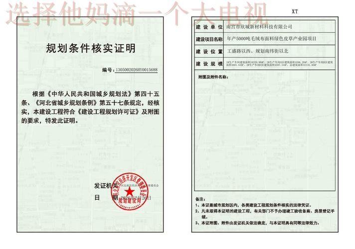 南宫体育科技控股集团解析